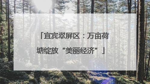 宜宾翠屏区：万亩荷塘绽放“美丽经济”