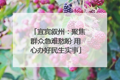 宜宾叙州：聚焦群众急难愁盼 用心办好民生实事