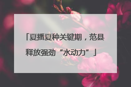 夏播夏种关键期，范县释放强劲“水动力”