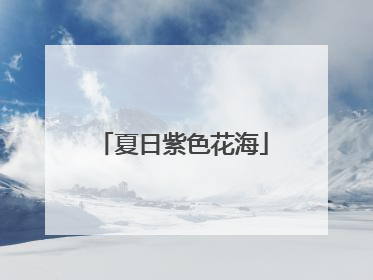 夏日紫色花海