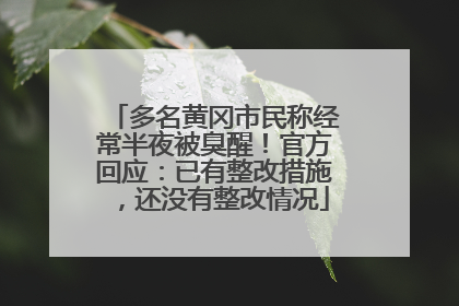 多名黄冈市民称经常半夜被臭醒！官方回应：已有整改措施，还没有整改情况