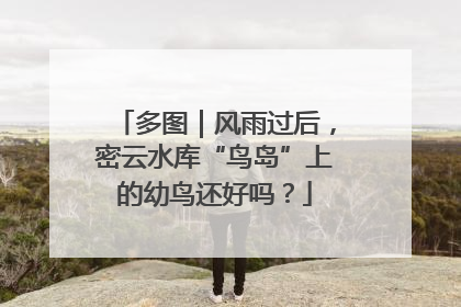 多图｜风雨过后，密云水库“鸟岛”上的幼鸟还好吗？