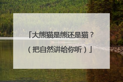 大熊猫是熊还是猫？（把自然讲给你听）