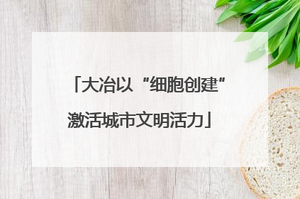 大冶以“细胞创建”激活城市文明活力