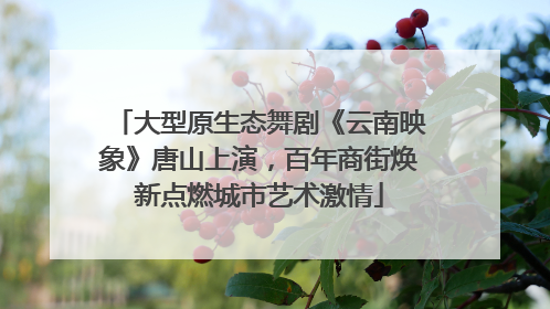 大型原生态舞剧《云南映象》唐山上演，百年商街焕新点燃城市艺术激情