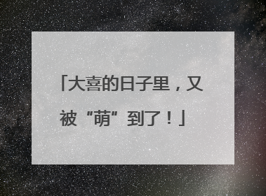 大喜的日子里，又被“萌”到了！