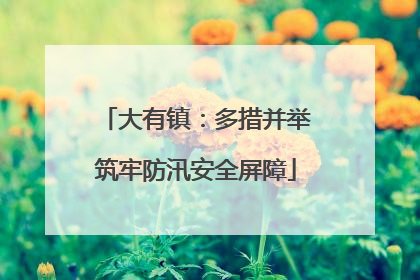 大有镇：多措并举筑牢防汛安全屏障