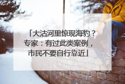 大沽河里惊现海豹？专家：有过此类案例，市民不要自行靠近
