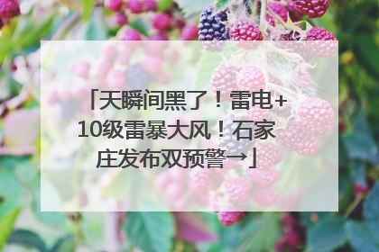 天瞬间黑了！雷电+10级雷暴大风！石家庄发布双预警→