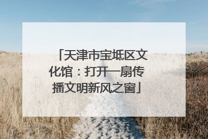 天津市宝坻区文化馆：打开一扇传播文明新风之窗