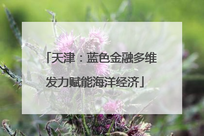 天津：蓝色金融多维发力赋能海洋经济