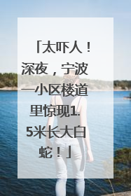 太吓人！深夜，宁波一小区楼道里惊现1.5米长大白蛇！