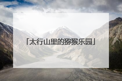 太行山里的猕猴乐园