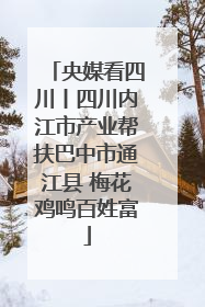 央媒看四川丨四川内江市产业帮扶巴中市通江县 梅花鸡鸣百姓富