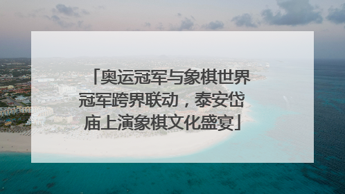 奥运冠军与象棋世界冠军跨界联动，泰安岱庙上演象棋文化盛宴