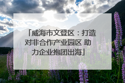 威海市文登区：打造对非合作产业园区 助力企业抱团出海