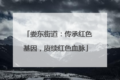 娄东街道：传承红色基因，赓续红色血脉