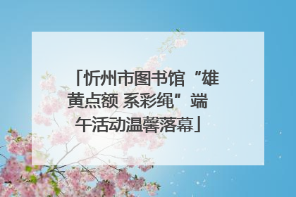 忻州市图书馆“雄黄点额 系彩绳”端午活动温馨落幕