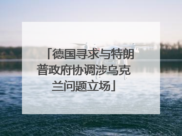 德国寻求与特朗普政府协调涉乌克兰问题立场