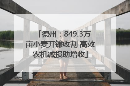 德州：849.3万亩小麦开镰收割 高效农机减损助增收
