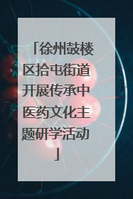 徐州鼓楼区拾屯街道开展传承中医药文化主题研学活动