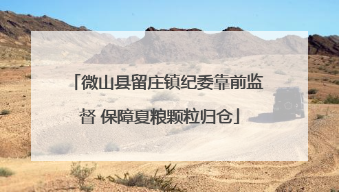 微山县留庄镇纪委靠前监督 保障夏粮颗粒归仓