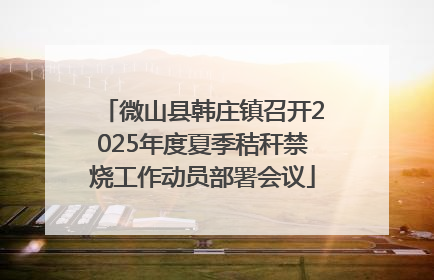 微山县韩庄镇召开2025年度夏季秸秆禁烧工作动员部署会议