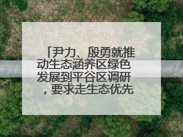 尹力、殷勇就推动生态涵养区绿色发展到平谷区调研，要求走生态优先、绿色低碳的高质量发展之路