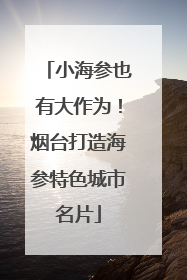 小海参也有大作为！烟台打造海参特色城市名片