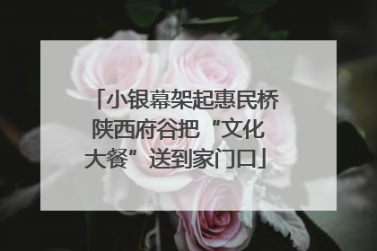 小银幕架起惠民桥 陕西府谷把“文化大餐”送到家门口