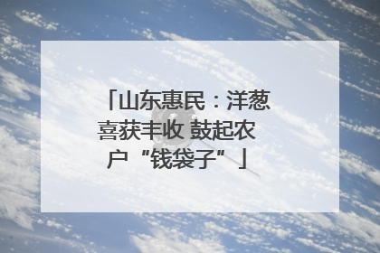 山东惠民：洋葱喜获丰收 鼓起农户“钱袋子”