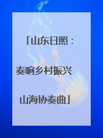 山东日照：奏响乡村振兴山海协奏曲