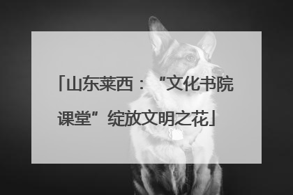 山东莱西：“文化书院课堂”绽放文明之花