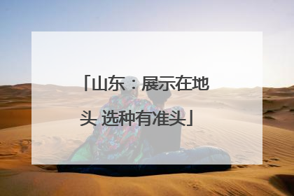 山东：展示在地头 选种有准头