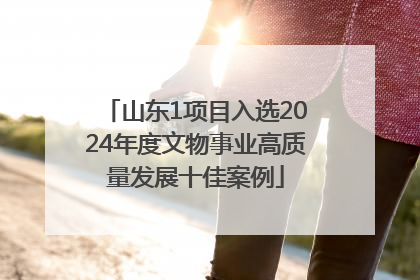 山东1项目入选2024年度文物事业高质量发展十佳案例