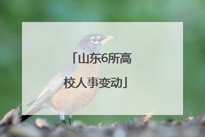 山东6所高校人事变动