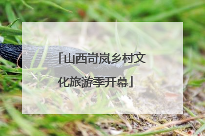 山西岢岚乡村文化旅游季开幕