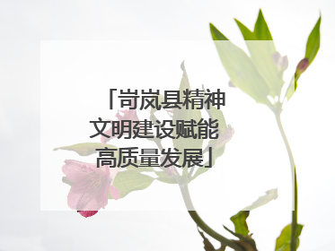 岢岚县精神文明建设赋能高质量发展