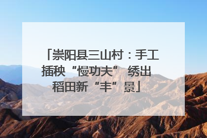 崇阳县三山村：手工插秧“慢功夫” 绣出稻田新“丰”景