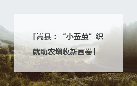 嵩县：“小蚕茧”织就助农增收新画卷
