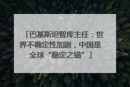 巴基斯坦智库主任：世界不确定性加剧，中国是全球“稳定之锚”