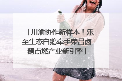 川渝协作新样本！乐至生态白鹅牵手荣昌卤鹅点燃产业新引擎