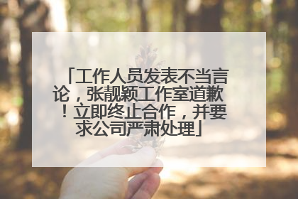工作人员发表不当言论，张靓颖工作室道歉！立即终止合作，并要求公司严肃处理