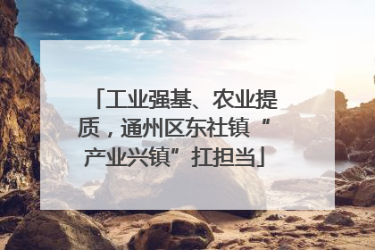 工业强基、农业提质，通州区东社镇“产业兴镇”扛担当