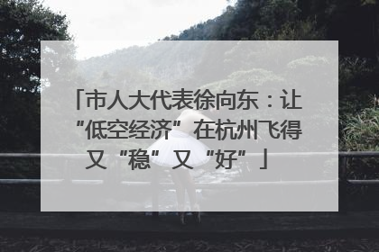市人大代表徐向东：让“低空经济”在杭州飞得又“稳”又“好”