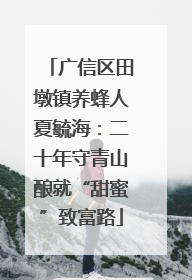 广信区田墩镇养蜂人夏毓海：二十年守青山酿就“甜蜜”致富路