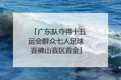 广东队夺得十五运会群众七人足球赛佛山赛区首金