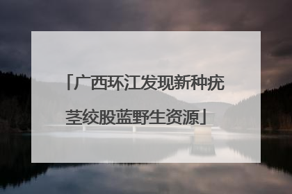 广西环江发现新种疣茎绞股蓝野生资源