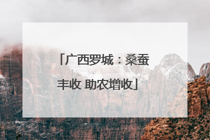 广西罗城：桑蚕丰收 助农增收