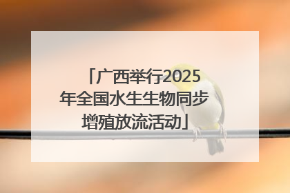 广西举行2025年全国水生生物同步增殖放流活动